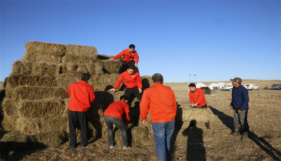 皇家国际·(中国区)有限公司官网