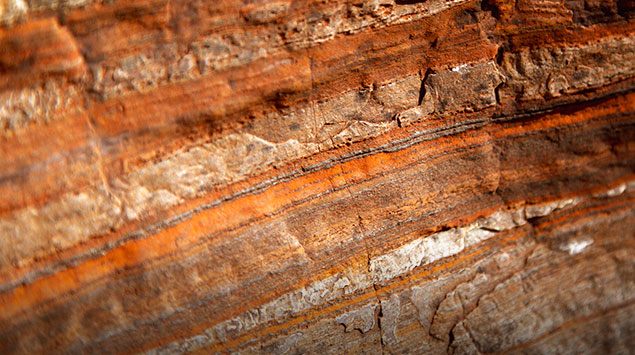 皇家国际·(中国区)有限公司官网