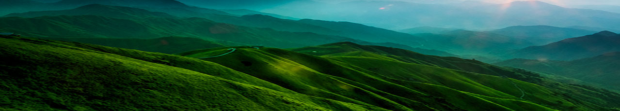 皇家国际·(中国区)有限公司官网