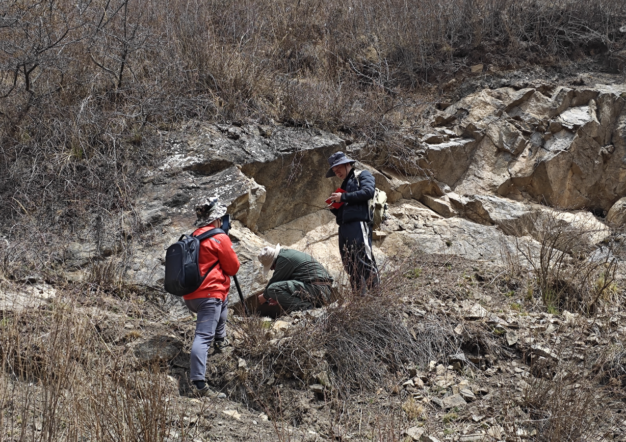 皇家国际·(中国区)有限公司官网